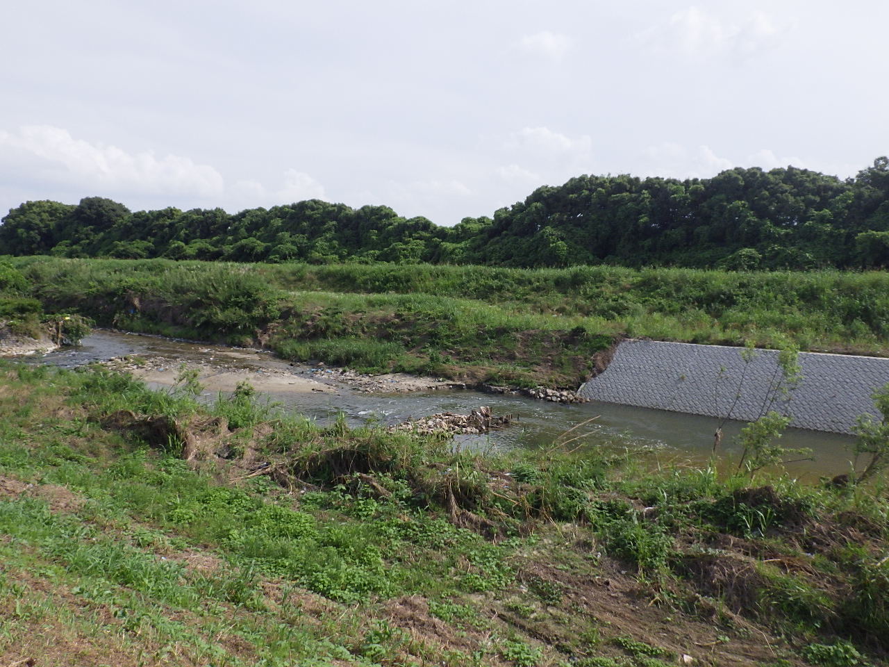 曽我川萱野地区低水護岸補修他工事vol.1