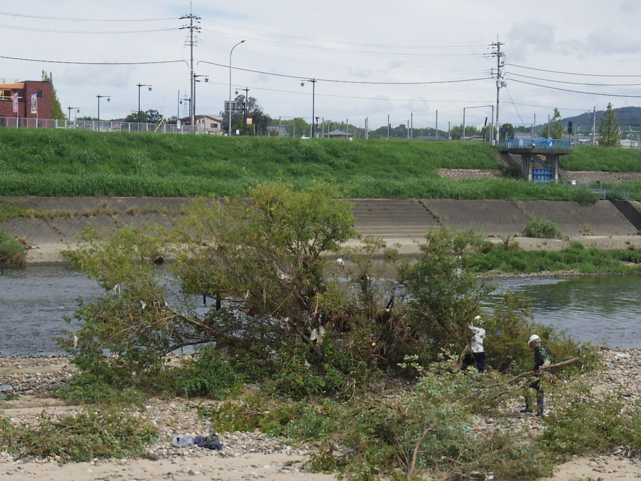 曽我川萱野地区低水護岸補修他工事vol.3